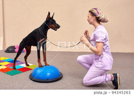 Dog is engaged fitness on massage and physiotherapy carpet. Training device for rehabilitation exercising in the Veterinary clinic Dog is engaged fitness on massage and physiotherapy carpet. Training device for rehabilitation exercising in the Veterinary clinic 94345263