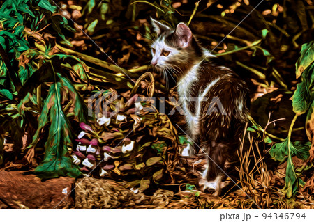 Cat walking like in a hunt among vegetation 94346794