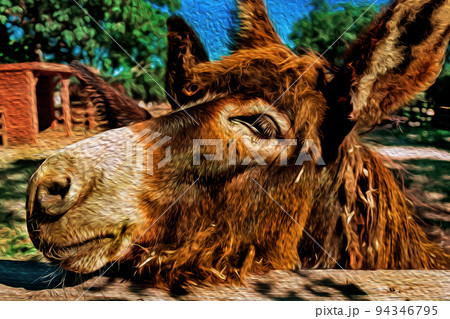 Donkey on a corral from a farm 94346795
