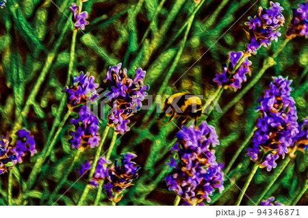 Bush with colored flowers and bees in a sunny day at Weesp 94346871