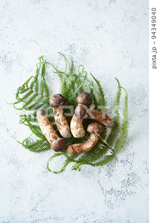 国産の松茸 94349040