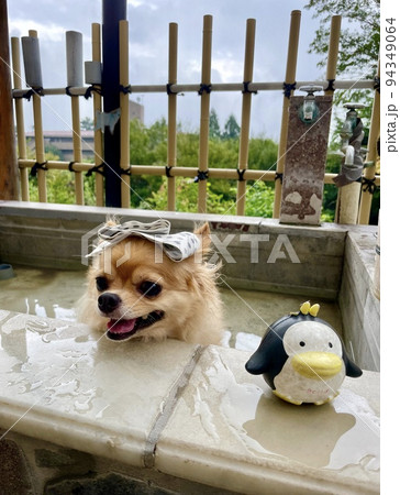 温泉入ろうよ 94349064