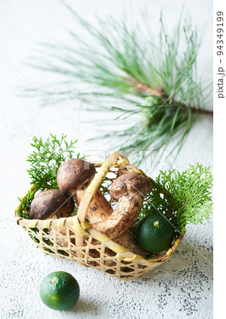 国産の松茸 94349199