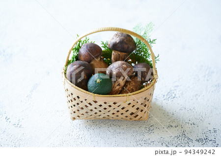 国産の松茸 94349242