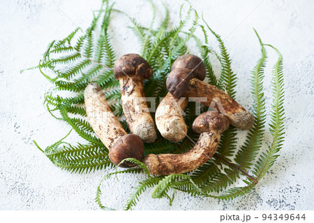 国産の松茸 94349644