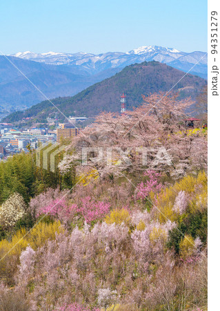 桜満開の生け花の里 福島市桜の名所(4月) 桜満開の生け花の里 福島市桜の名所(4月) 94351279
