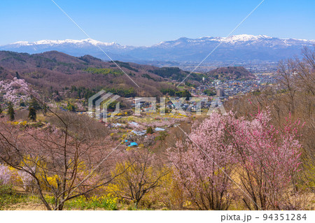 桜満開の生け花の里　福島市桜の名所（4月） 94351284