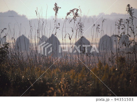 霧の中のピ－ナッツ畑 94351503