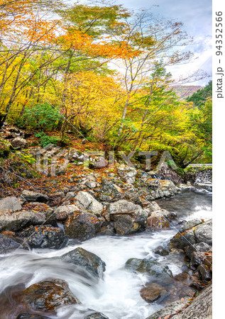 （兵庫県姫路市飾磨区蓼野町）※作品コメント欄に撮影位置 94352566