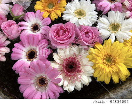 水に浮かぶたくさんの花たち 94352692