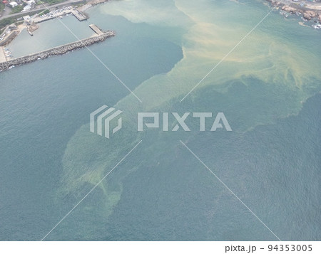 金山 金の成る木 海面 94353005