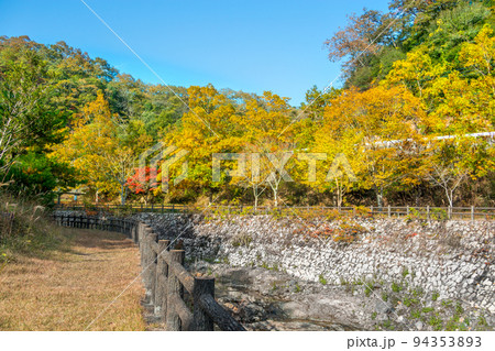 紅葉に染まる、安室ダムキャンプ場(兵庫県赤穂郡上郡町八保場)※作品コメント欄に撮影位置 紅葉に染まる、安室ダムキャンプ場(兵庫県赤穂郡上郡町八保場)※作品コメント欄に撮影位置 94353893