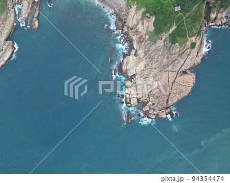 金山 金の成る木 海面 94354474