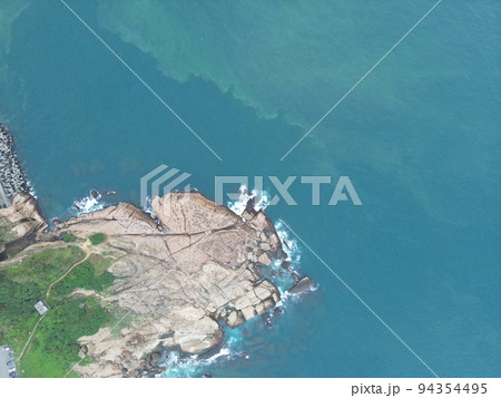 金山 金の成る木 海面 94354495