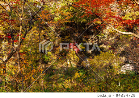 日本一の渓谷美 山梨甲府の秋の絶景 紅葉の昇仙峡 天鼓林 日本一の渓谷美 山梨甲府の秋の絶景 紅葉の昇仙峡 天鼓林 94354729