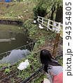 池のアヒルと眺める子供 94354805