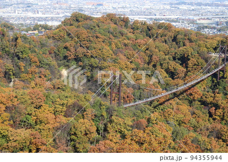 星のブランコ 紅葉 観光名所 ほしだ園地 【大阪府】 星のブランコ 紅葉 観光名所 ほしだ園地 【大阪府】 94355944