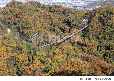 星のブランコ　紅葉　観光名所　ほしだ園地　【大阪府】 94355950