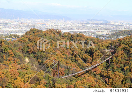 星のブランコ 紅葉 観光名所 ほしだ園地 【大阪府】 星のブランコ 紅葉 観光名所 ほしだ園地 【大阪府】 94355955