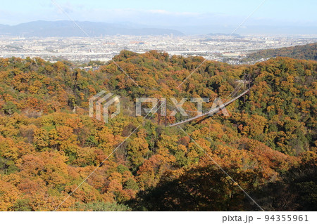 星のブランコ 紅葉 観光名所 ほしだ園地 【大阪府】 星のブランコ 紅葉 観光名所 ほしだ園地 【大阪府】 94355961