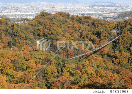 星のブランコ　紅葉　観光名所　ほしだ園地　【大阪府】 94355963