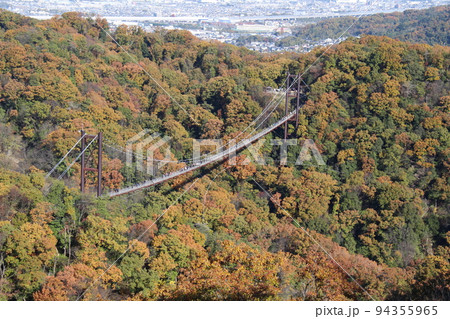 星のブランコ　紅葉　観光名所　ほしだ園地　【大阪府】 94355965