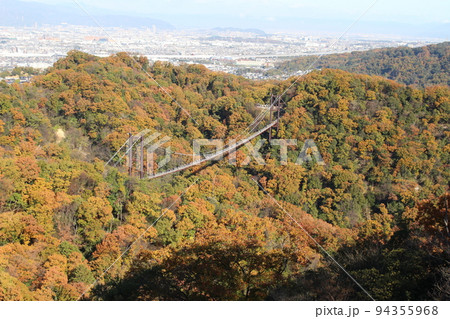 星のブランコ 紅葉 観光名所 ほしだ園地 【大阪府】 星のブランコ 紅葉 観光名所 ほしだ園地 【大阪府】 94355968