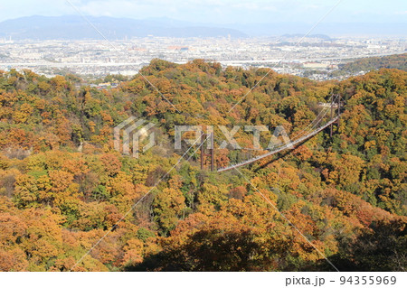 星のブランコ 紅葉 観光名所 ほしだ園地 【大阪府】 星のブランコ 紅葉 観光名所 ほしだ園地 【大阪府】 94355969