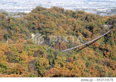 星のブランコ　紅葉　観光名所　ほしだ園地　【大阪府】 94355979