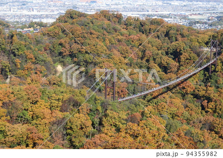 星のブランコ　紅葉　観光名所　ほしだ園地　【大阪府】 94355982
