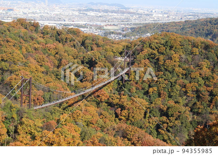 星のブランコ 紅葉 観光名所 ほしだ園地 【大阪府】 星のブランコ 紅葉 観光名所 ほしだ園地 【大阪府】 94355985