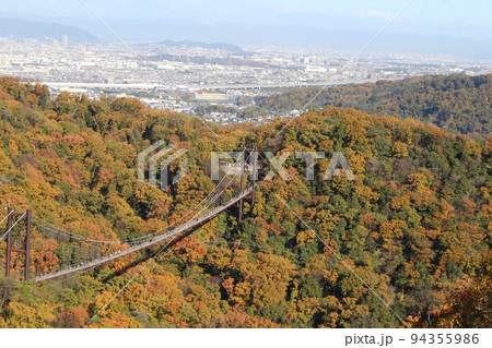 星のブランコ 紅葉 観光名所 ほしだ園地 【大阪府】 星のブランコ 紅葉 観光名所 ほしだ園地 【大阪府】 94355986