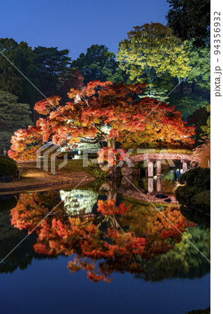 六義園 紅葉と大名庭園のライトアップ 六義園 紅葉と大名庭園のライトアップ 94356932