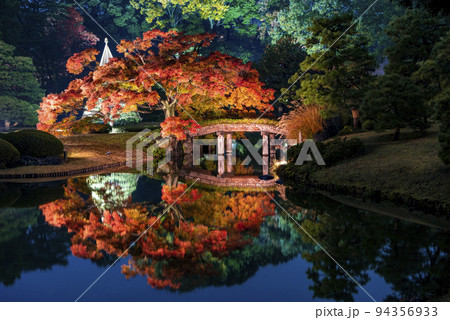六義園 紅葉と大名庭園のライトアップ 六義園 紅葉と大名庭園のライトアップ 94356933