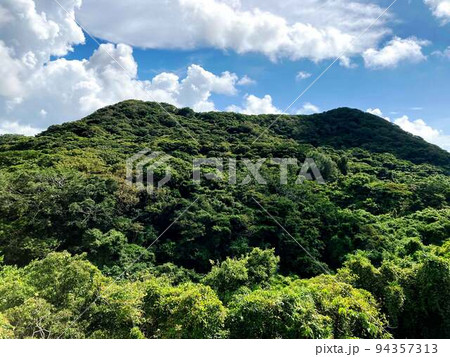 沖縄県　今帰仁城跡からみた山側の風景 94357313