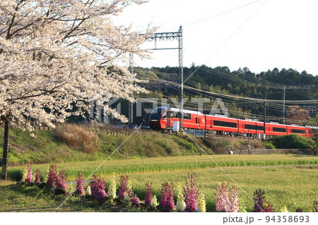 満開の桜を横目に走る近鉄大阪線の特急電車 94358693
