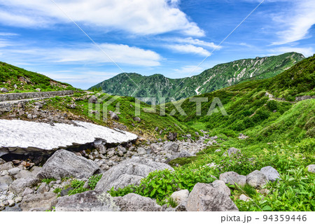 夏の立山 天狗平からの景色 夏の立山 天狗平からの景色 94359446