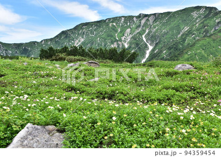 夏の立山 天狗平から望む山々 夏の立山 天狗平から望む山々 94359454