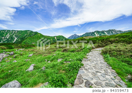 夏の立山 天狗平からの景色 夏の立山 天狗平からの景色 94359473