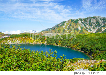 秋を迎えた立山みくりが池 秋を迎えた立山みくりが池 94359493