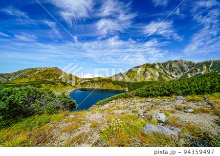 秋を迎えた立山みくりが池 秋を迎えた立山みくりが池 94359497
