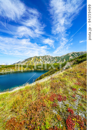 秋を迎えた立山みくりが池 94359499