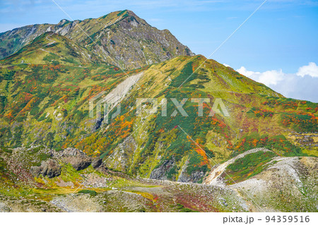 立山、紅葉の奥大日岳 立山、紅葉の奥大日岳 94359516