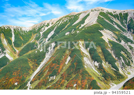 立山の紅葉 立山の紅葉 94359521