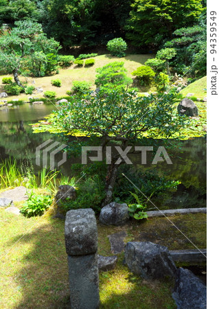 【中国三十三観音霊場】第三十二番 観音院 国指定名勝の庭園13 鳥取県鳥取市 【中国三十三観音霊場】第三十二番 観音院 国指定名勝の庭園13 鳥取県鳥取市 94359549