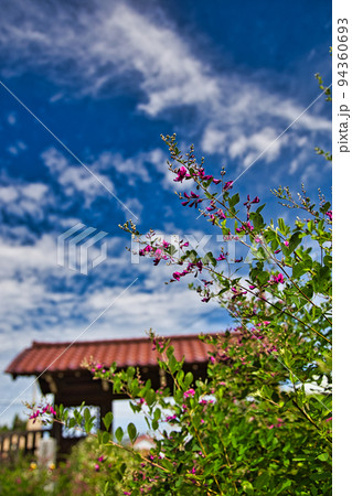 高照山瑞源寺ー萩寺 94360693