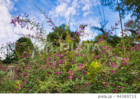 高照山瑞源寺ー萩寺 高照山瑞源寺ー萩寺 94360713