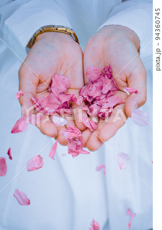 桜の花びら 桜の花びら 94360745