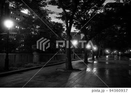 雨上がりの大阪市役所前の道の街路樹と街灯 雨上がりの大阪市役所前の道の街路樹と街灯 94360937