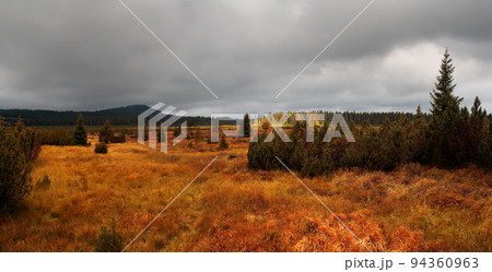 Autumn landscape with large grassy meadows and trees, Lake moor - peat bog, Bohemian Forest, Czech republic 94360963